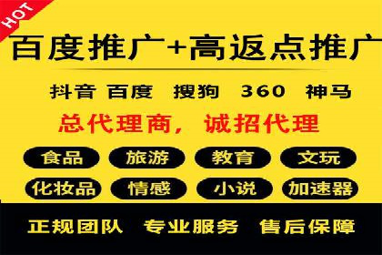 百度竞价推广代运营经典案例分析